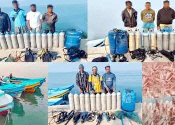 கிளி.வலைப்பாடு கடற்பரப்பில் – 13 உள்ளூர் மீனவர்கள் கடற்படையினரால் கைது