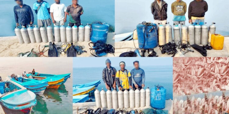 கிளி.வலைப்பாடு கடற்பரப்பில் – 13 உள்ளூர் மீனவர்கள் கடற்படையினரால் கைது