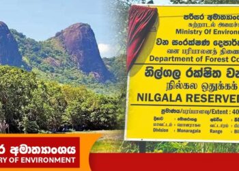 நாட்டின் இரண்டாவது மிகப்பெரிய வனப்பகுதியாக ‘நில்கல’ பிரகடனம்