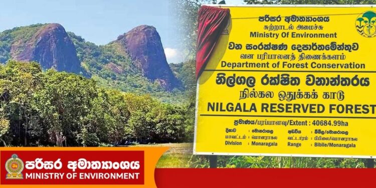 நாட்டின் இரண்டாவது மிகப்பெரிய வனப்பகுதியாக ‘நில்கல’ பிரகடனம்