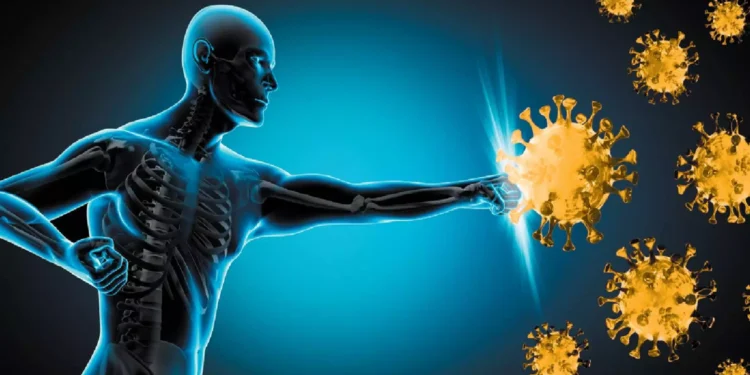 நோய் எதிர்ப்பு சக்தியை அதிகரிக்க வேண்டுமா?