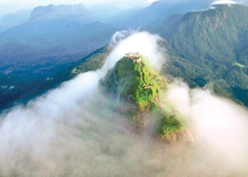 டித்வா சூறாவளியால் – மத்திய மலைநாட்டின் இயற்கை வனப் பகுதிகளில் 34 வீதம் சேதம்!