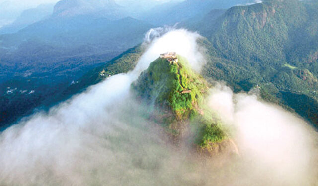 டித்வா சூறாவளியால் – மத்திய மலைநாட்டின் இயற்கை வனப் பகுதிகளில் 34 வீதம் சேதம்!