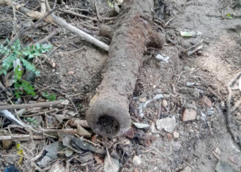 பருத்தித்துறையில் பழங்கால பீரங்கி