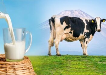 மாபியாவாக மாறியுள்ள பால் விற்பனை – நுகர்வோரை சுரண்டும் பால் நிறுவனங்கள்!