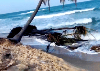 உள்ளே வரும் கடல் : ஆபத்தில் சுட்டிக்குளம்!