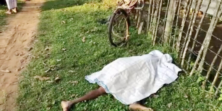 யாழ் ராணி ரயிலுடன் மோதி முதியவர் பலி!