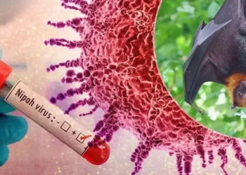 இந்தியாவில் நிபா வைரஸ் தொற்று : இலங்கையில் தீவிர கண்காணிப்பு