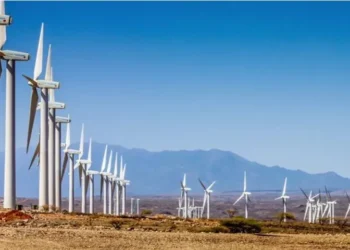 மன்னார் காற்றாலை மின் திட்டத்தை – மறுபரிசீலனை செய்யுங்கள்