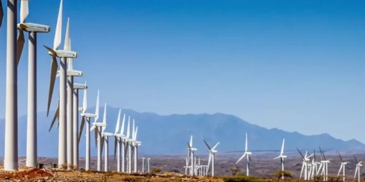 மன்னார் காற்றாலை மின் திட்டத்தை – மறுபரிசீலனை செய்யுங்கள்