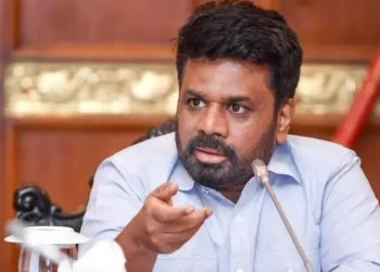 பௌர்ணமியில் ஆர்ப்பாட்டம் செய்வோருக்கு காணியுள்ளதா?