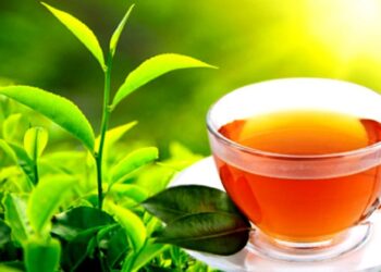 தேயிலை ஏற்றுமதி வருமானம் அதிகரிப்பு!