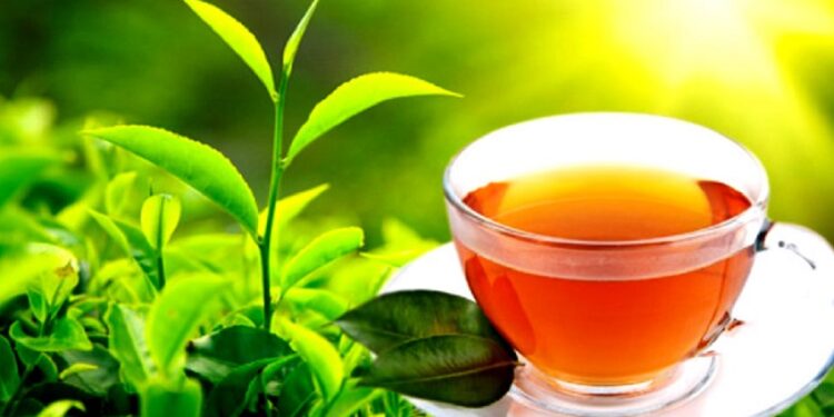 தேயிலை ஏற்றுமதி வருமானம் அதிகரிப்பு!