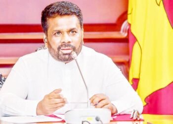 சர்வதேச மைதான வேலைகளை – துரிதப்படுத்த அரச அதிபருக்கு ஜனாதிபதி அநுர பணிப்புரை