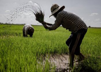 விவசாயிகளுக்காக ‘காப்புறுதி மாதம்’ பிரகடனம்!