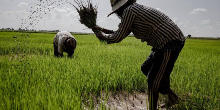 விவசாயிகளுக்காக ‘காப்புறுதி மாதம்’ பிரகடனம்!
