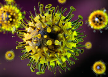 காலநிலை மாற்றத்தால் வைரஸ் தொற்று அபாயம்!