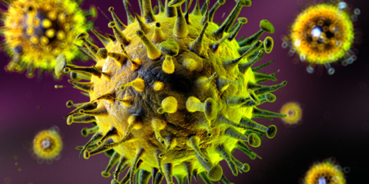 காலநிலை மாற்றத்தால் வைரஸ் தொற்று அபாயம்!