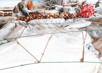 சாவகச்சேரி நகரசபையின் செயற்பாட்டை கண்டித்து – தேங்காய் வியாபாரிகள் கவனயீர்ப்பு போராட்டம்!