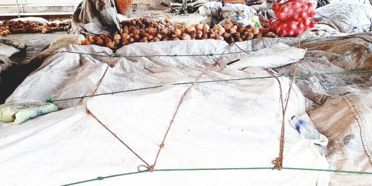 சாவகச்சேரி நகரசபையின் செயற்பாட்டை கண்டித்து – தேங்காய் வியாபாரிகள் கவனயீர்ப்பு போராட்டம்!