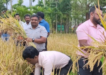 வவுனியா விவசாய பயிற்சி நிலையத்தில் வயல் விழா