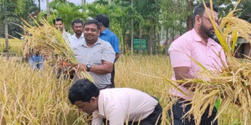 வவுனியா விவசாய பயிற்சி நிலையத்தில் வயல் விழா