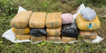 பளையில் 23 கிலோ கேரள கஞ்சா மீட்பு!