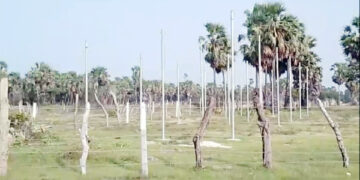 வெற்றிலைக்கேணி கிராம அலுவலர் பிரிவில் அரச காணிகள் தனிநபரால் சுவீகரிப்பு