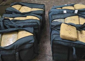 இலங்கைக்கு கடத்தப்படவிருந்த 194 கிலோ கஞ்சா பறிமுதல்