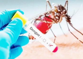 கொழும்பில் அதிகரித்த டெங்கு நோயாளர்கள்!