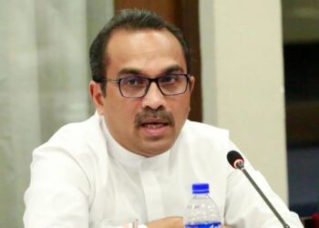 மன்னார் – மடுவில் 700 ஏக்கர் காடழிப்பு!