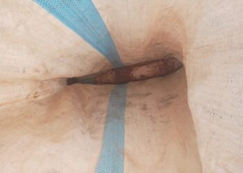 இளவாலையில் மோட்டார் குண்டு