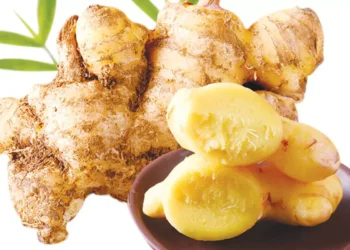 நோய்களை விரட்டும் இஞ்சி!