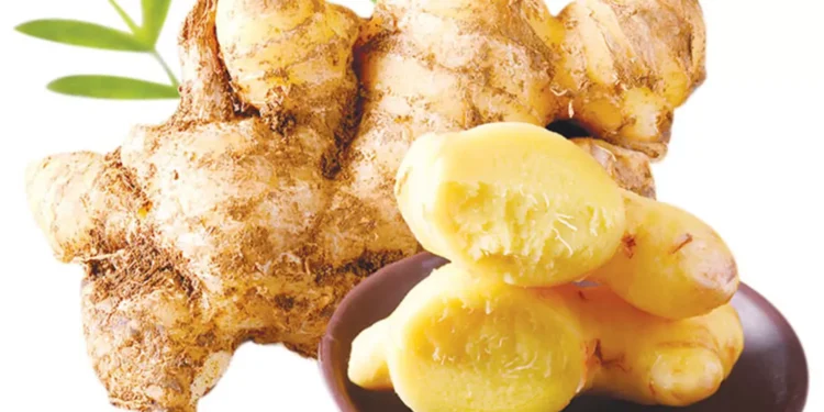 நோய்களை விரட்டும் இஞ்சி!