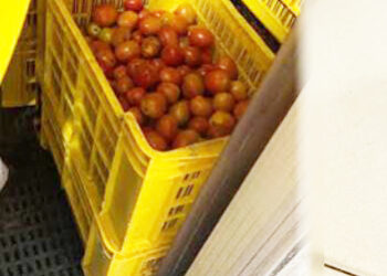 காலாவதியான பொருட்கள் விற்பனை – வர்த்தக நிலையத்தின் மீது சுகாதார பிரிவு நடவடிக்கை!