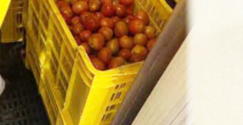 காலாவதியான பொருட்கள் விற்பனை – வர்த்தக நிலையத்தின் மீது சுகாதார பிரிவு நடவடிக்கை!