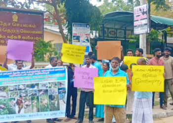 கால்நடை திருட்டை ஒடுக்குங்கள் – வேலணையில் மக்கள் கவனயீர்ப்பு போராட்டம்