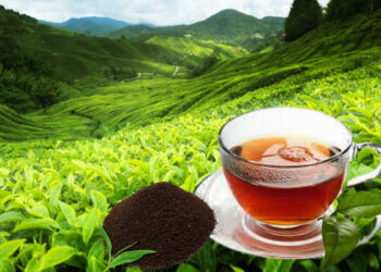 வெளிநாட்டு சந்தைகளை இழக்கும் அபாயத்தில் – இலங்கைத் தேயிலை!