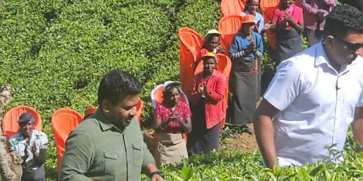 தோட்டத் தொழிலாளர்களுடன் ஜனாதிபதி திடீர் சந்திப்பு!