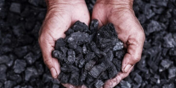 தரம் குறைந்த நிலக்கரி கொள்வனவு – CID யில் முறைப்பாடு!