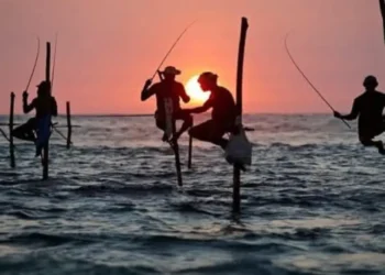 மீன்பிடி, டைவிங் நடவடிக்கைகளில் ஈடுபடும் மீனவர்களுக்கு புதிய காப்புறுதித் திட்டம்!