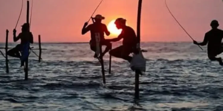 மீன்பிடி, டைவிங் நடவடிக்கைகளில் ஈடுபடும் மீனவர்களுக்கு புதிய காப்புறுதித் திட்டம்!