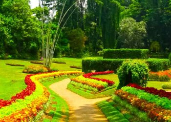 தாவரவியல் பூங்காக்களின் வருமானத்தில் வளர்ச்சி!