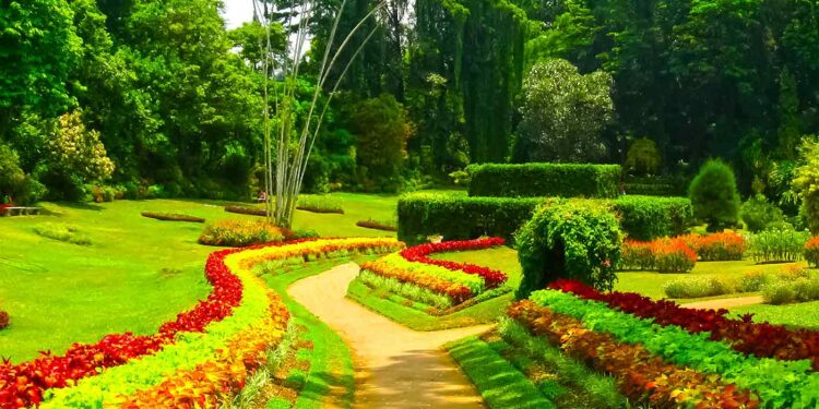 தாவரவியல் பூங்காக்களின் வருமானத்தில் வளர்ச்சி!