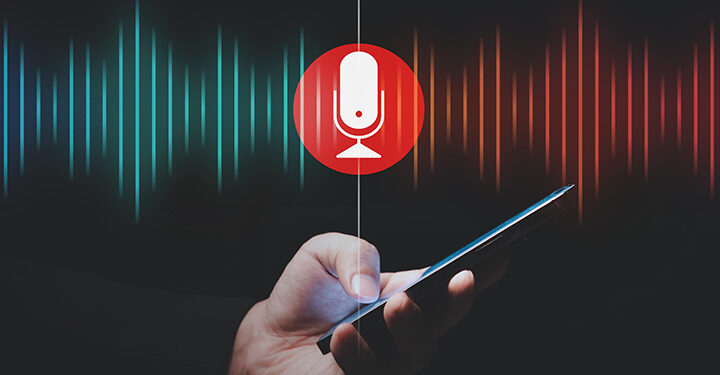 பாதாள உலகக் குழுத் தலைவர்களின் எதிர்காலத்திட்டங்கள் குறித்த குரல் பதிவு கசிந்தது!