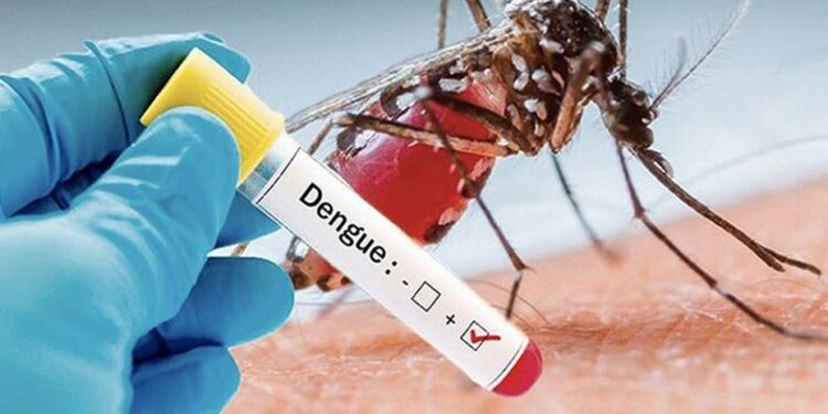 டெங்கு அதிகரிப்பு : சுகாதார அமைச்சு எச்சரிக்கை