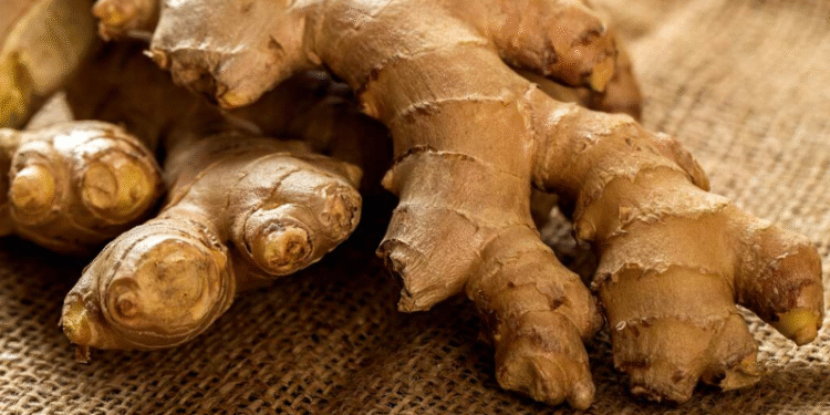 இஞ்சியின் விலை சடுதியாக உயர்வு!