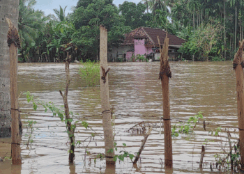 மட்டு. மாவட்டத்தில் 409 குடும்பங்களின் 1,310 பேர் வெள்ளத்தால் பாதிப்பு!