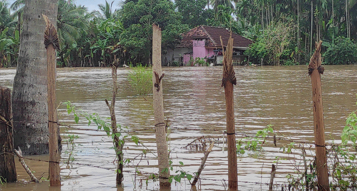 மட்டு. மாவட்டத்தில் 409 குடும்பங்களின் 1,310 பேர் வெள்ளத்தால் பாதிப்பு!