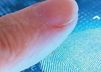 ஓய்வூதியர்களுக்கான கைரேகை அடிப்படையிலான ஆயுள் சான்றிதழ் சரிபார்ப்பு : அறிமுகப்படுத்திய DFCC வங்கி